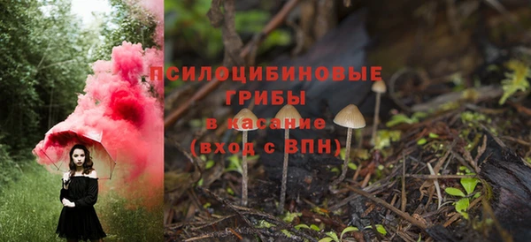 не бодяженный Каменногорск
