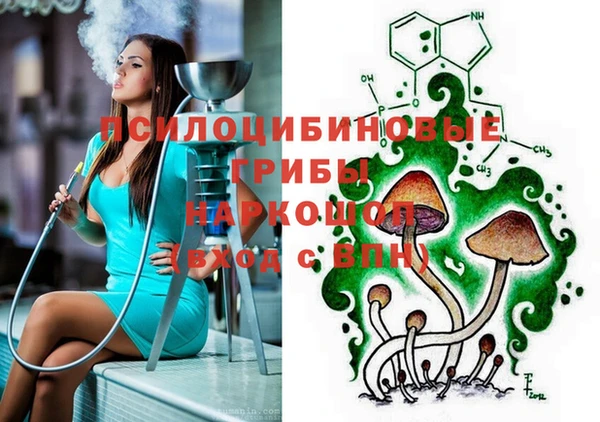 не бодяженный Каменногорск