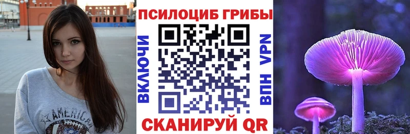 Купить закладки  Андреаполь  Галлюциногенные грибы Cubensis 